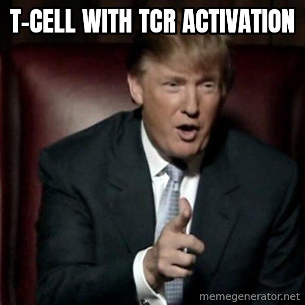 Donald Trump meme: T-cell with TCR activation