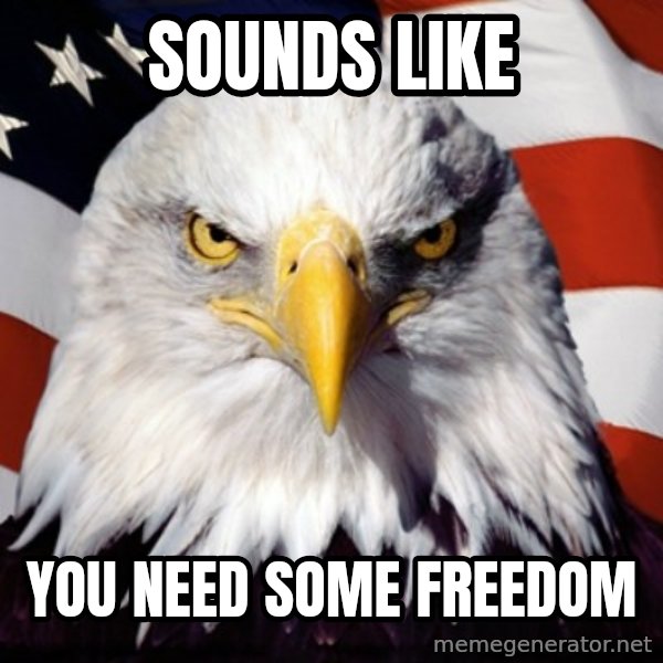 Freedom Eagle  meme: Sounds like / You need some freedom