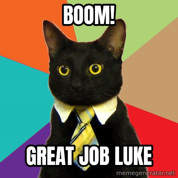 Business Cat meme: BOOM! / GREAT JOB LUKE
