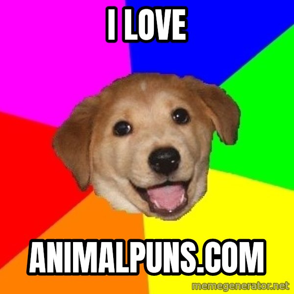 Advice Dog meme: I love / Animalpuns.com