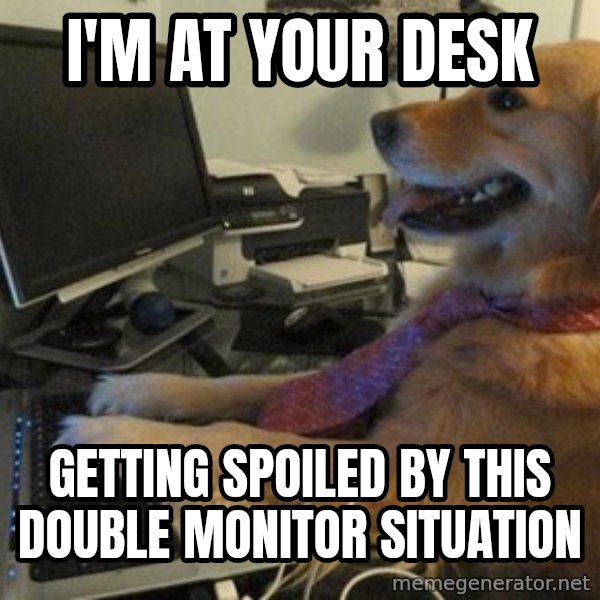 I have no idea what I'm doing - Dog with Tie meme: I'm at your desk / getting spoiled by this double monitor situation