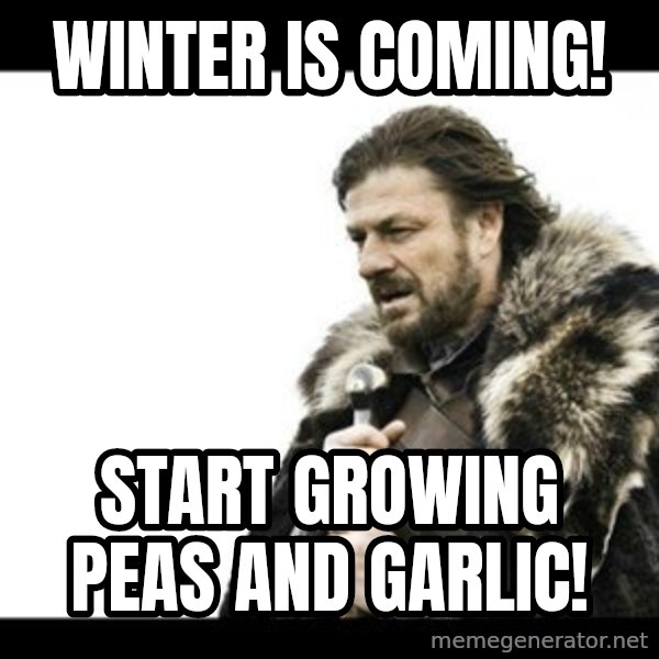Winter is Coming meme: winter is coming! / start  growing peas and garlic!