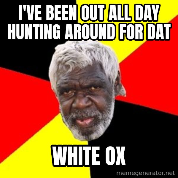 Aboriginal meme: I've been out all day hunting around for dat / White ox