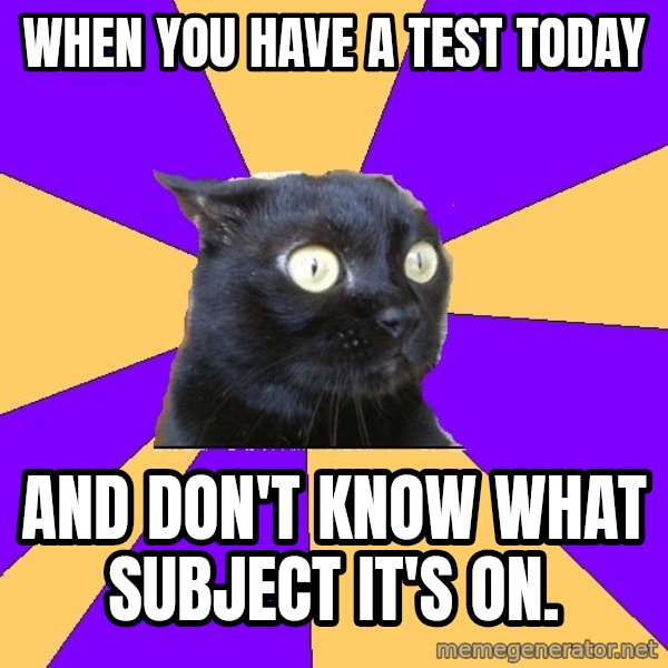 Anxiety Cat meme: When you have a test today / And don't know what subject it's on.