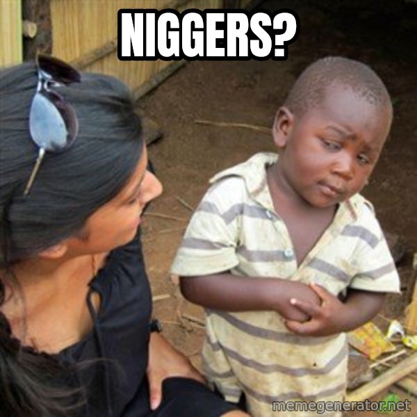 Skeptical 3rd World Kid meme: Niggers?