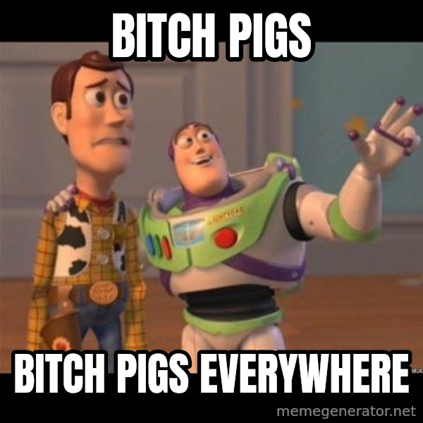 Buzz lightyear meme fixd meme: Bitch Pigs / Bitch Pigs Everywhere