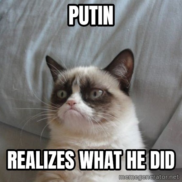 Grumpy cat good meme: Putin / realizes what he did