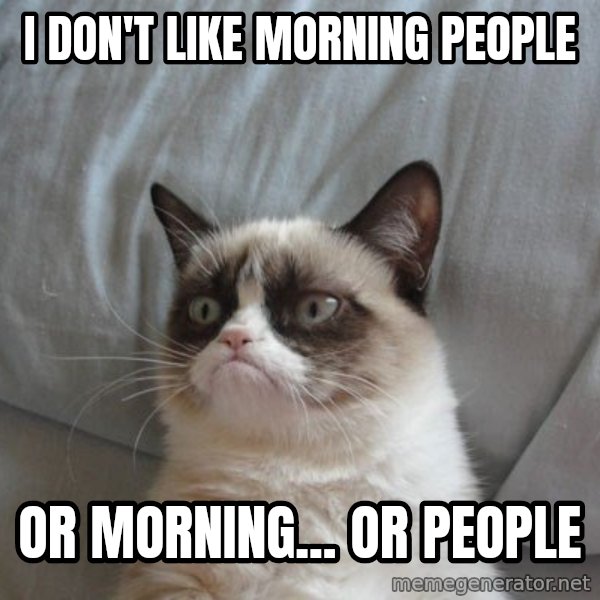 Grumpy cat good meme: I don't like morning people / or morning... or people