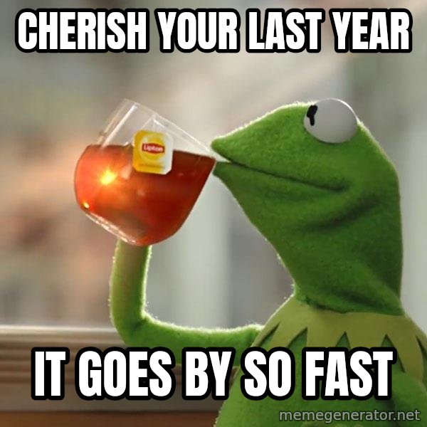 Kermit The Frog Drinking Tea meme: CHERISH YOUR LAST YEAR / IT GOES BY SO FAST