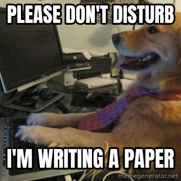 I have no idea what I'm doing - Dog with Tie meme: Please don't disturb / I'm writing a paper