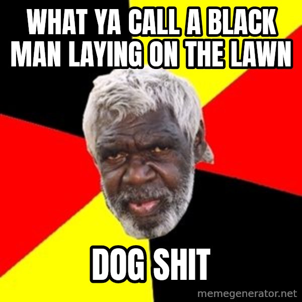 Aboriginal meme: What ya call a black man laying on the lawn / Dog shit