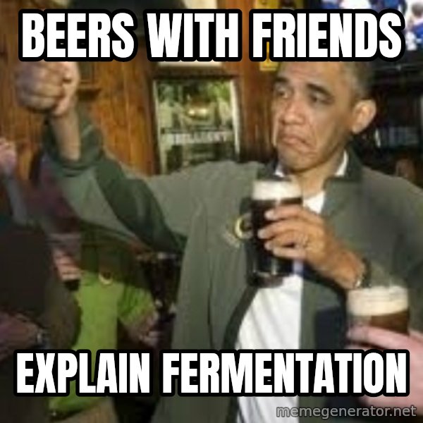 obama beer meme: beers with friends / EXPLAIN FERMENTATION