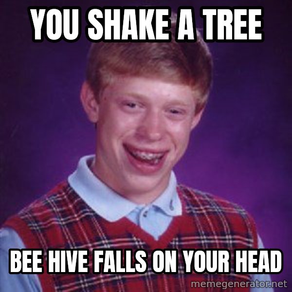 Bad Luck Brian meme: You shake a tree / bee hive falls on your head