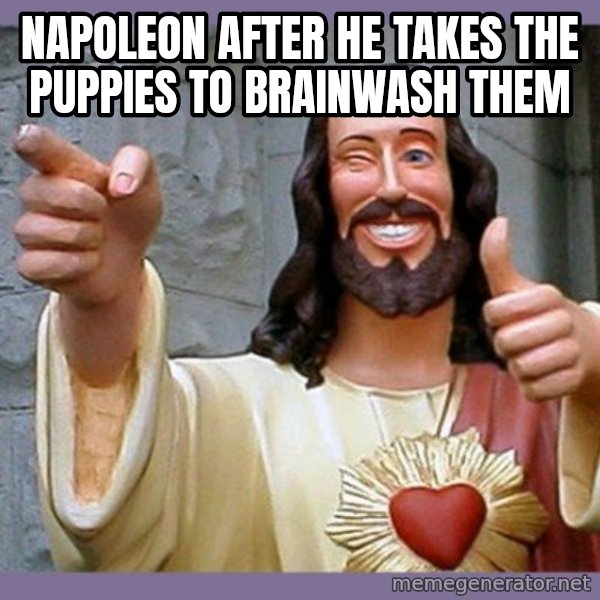 buddy jesus meme: Napoleon after he takes the puppies to brainwash them
