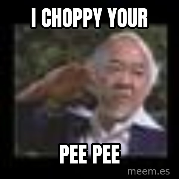 Mr Miyagi meme: I choppy your / Pee pee