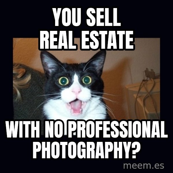 shocked cat meme: You sell real estate / with no professional photography?