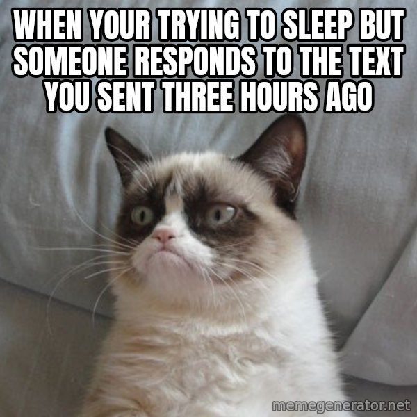 Grumpy cat good meme: When your trying to sleep but someone responds to the text you sent three hours ago