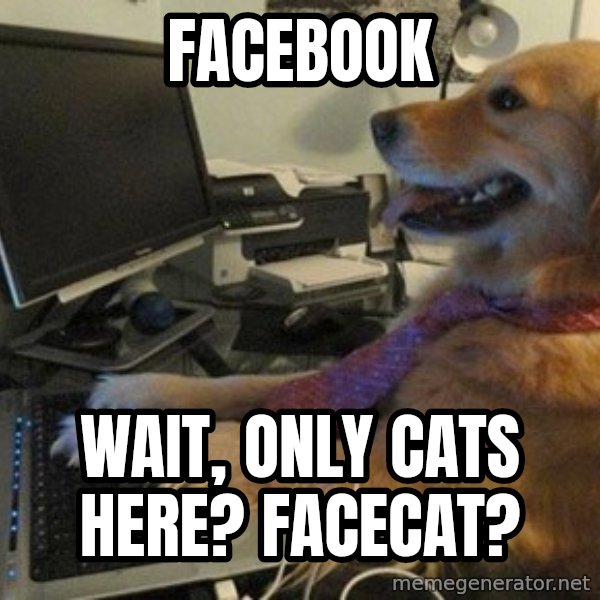 I have no idea what I'm doing - Dog with Tie meme: facebook / wait, only cats here? facecat?