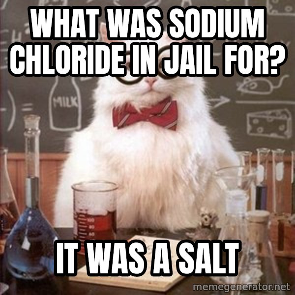 Chemistry Cat meme: What was sodium chloride in jail for? / it was a salt