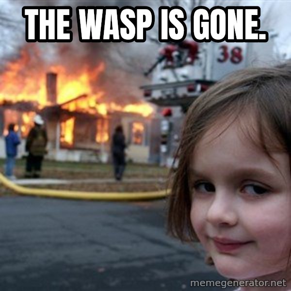 Disaster Girl meme: The wasp is gone.