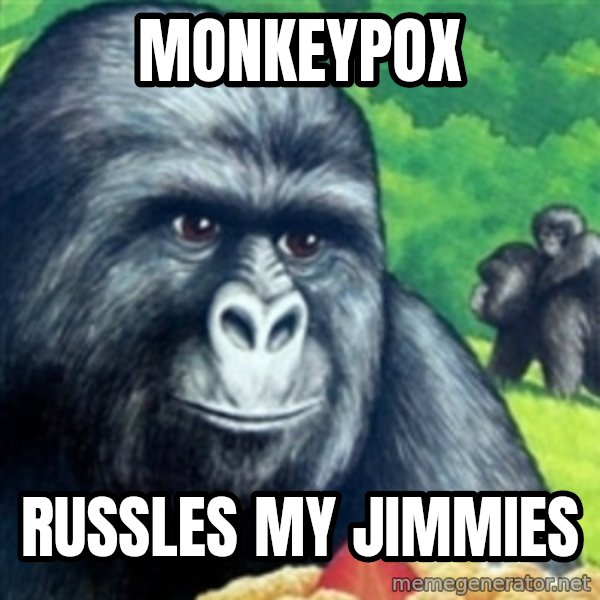 Jimmies Rustled meme: Monkeypox / Russles my jimmies