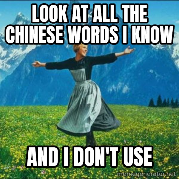 Look at all the things meme: Look at all the chinese words I know / and I don't use
