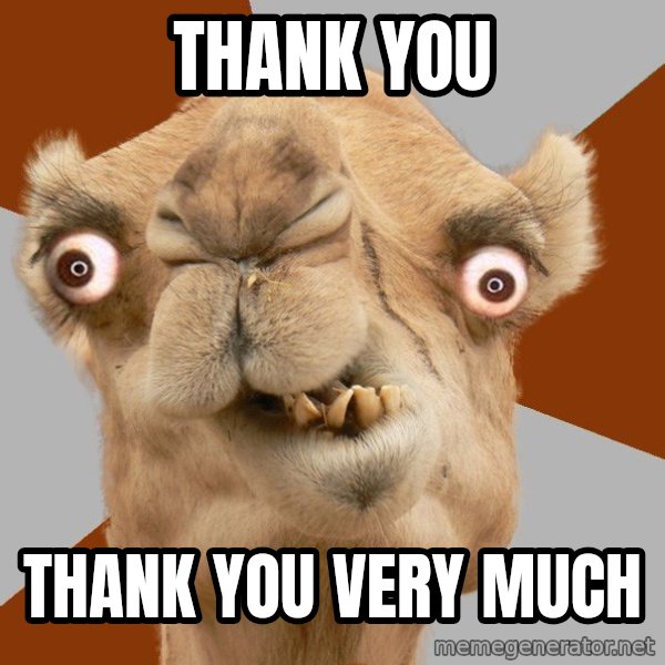 Crazy Camel lol meme: Thank you / Thank you very much