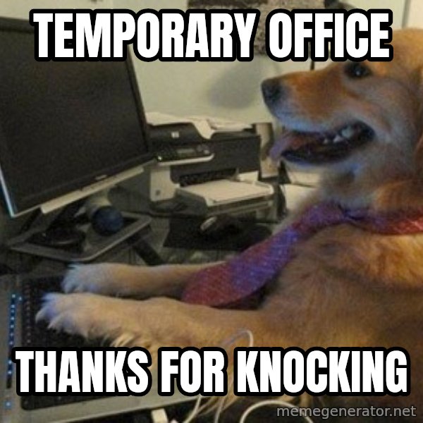 I have no idea what I'm doing - Dog with Tie meme: temporary office / THANKS for knocking