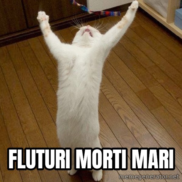 praise the lord cat meme: FLUTURI MORTI MARI