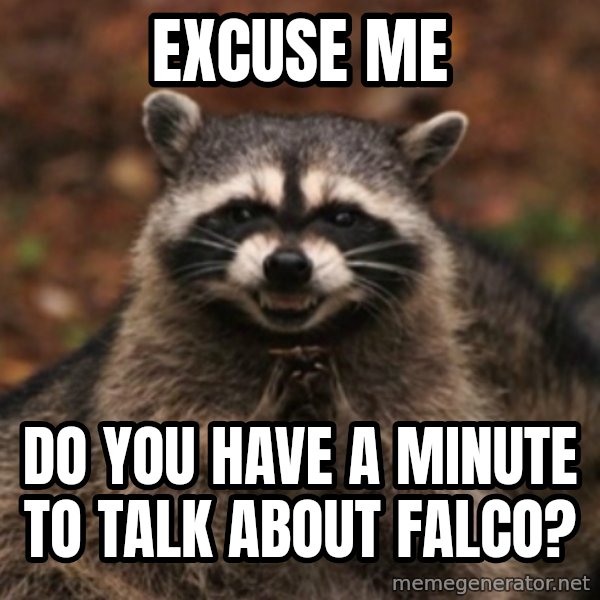evil raccoon meme: Excuse me / do you have a minute to talk about Falco?