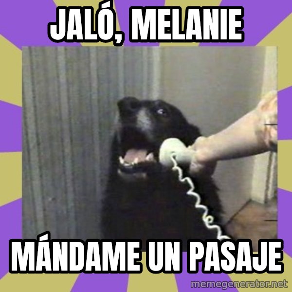 Yes, this is dog! meme: Jaló, Melanie / Mándame un pasaje