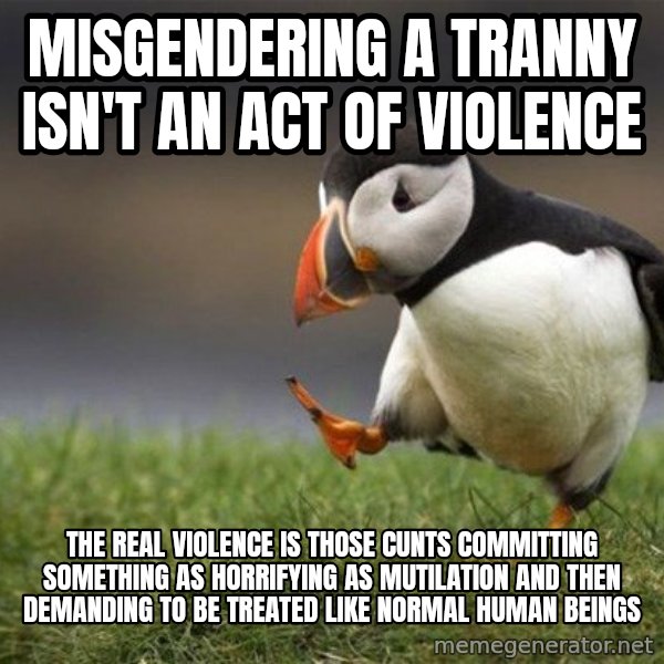Unpopular Opinion Puffin meme: Misgendering a tranny isn't an act of violence / The real violence is those cunts committing something as horrifying as mutilation and then demanding to be treated like normal human beings