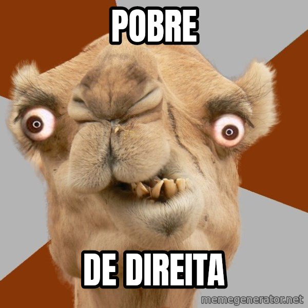 Crazy Camel lol meme: POBRE / DE DIREITA