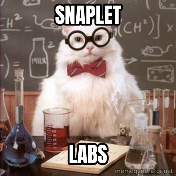 Chemistry Cat meme: snaplet / labs