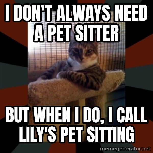 The Most Interesting Cat in the World meme: I DON'T ALWAYS NEED A PET SITTER / BUT WHEN I DO, I CALL LILY'S PET SITTING