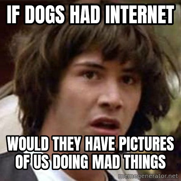 Conspiracy Keanu meme: If dogs had internet / Would they have pictures of us doing mad things
