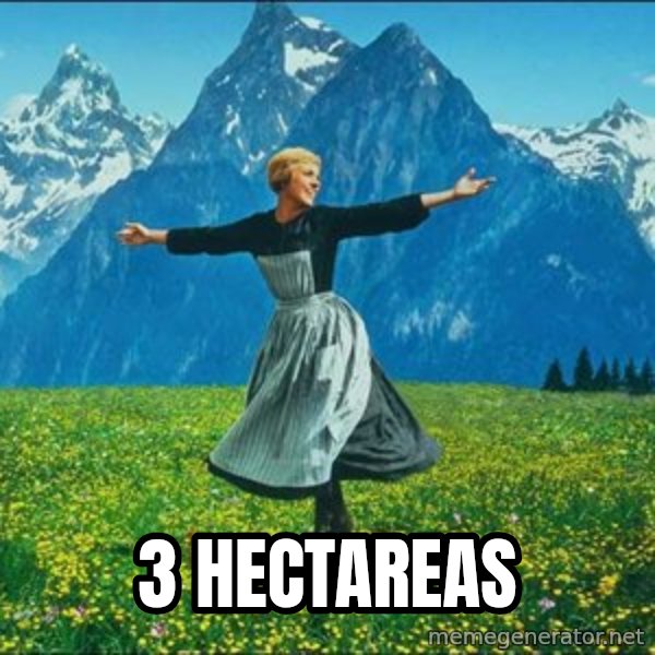 Look at all the things meme: 3 HECTAREAS