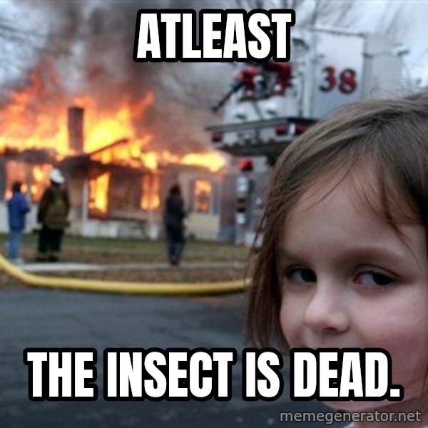 Disaster Girl meme: Atleast / The Insect is Dead.