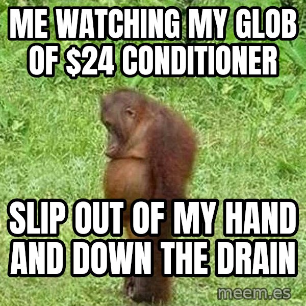 Orangutan Stan meme: Me watching my glob of $24 conditioner / slip out of my hand and down the drain