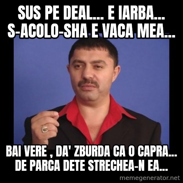 Manelistul Nicolae Guta meme: Sus pe deal... e iarba... s-acolo-sha e vaca mea... / Bai vere , da' zburda ca o capra... de parca dete strechea-n ea...