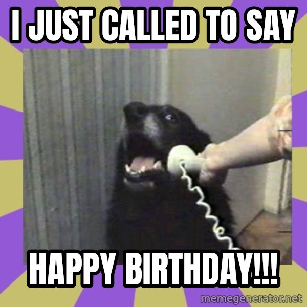 Yes, this is dog! meme: I just called to say / Happy Birthday!!!