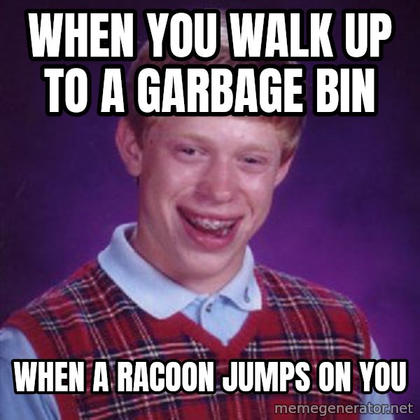 Bad Luck Brian meme: When you walk up to a garbage bin / when a racoon jumps on you