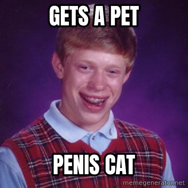 Bad Luck Brian meme: Gets a pet / Penis Cat