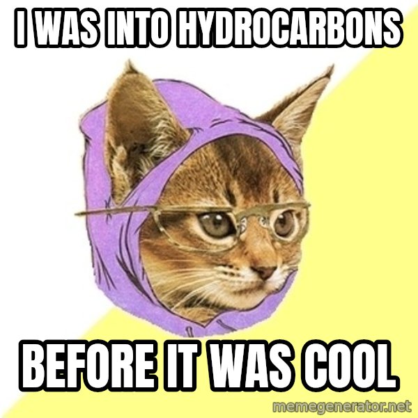 Hipster Kitty meme: I was into hydrocarbons / before it was cool