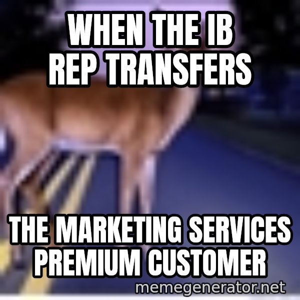 Deer In Headlights meme: When the IB rep transfers / The Marketing Services Premium customer