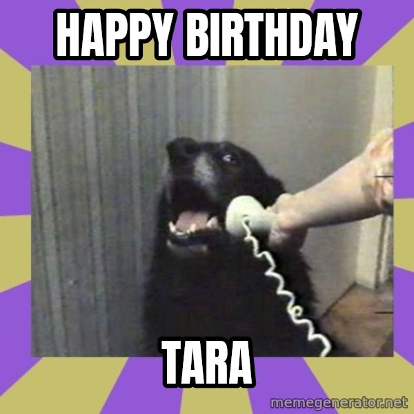 Yes, this is dog! meme: Happy Birthday / Tara