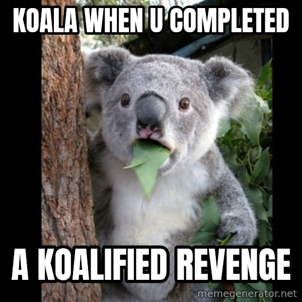 Koala can't believe it meme: Koala when u Completed / A koalified revenge