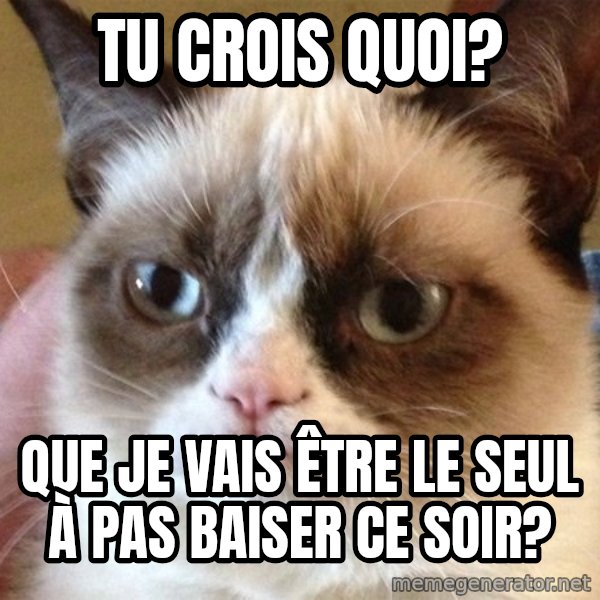 Angry Cat Meme meme: Tu crois quoi? / Que je vais être le seul à pas baiser ce soir?