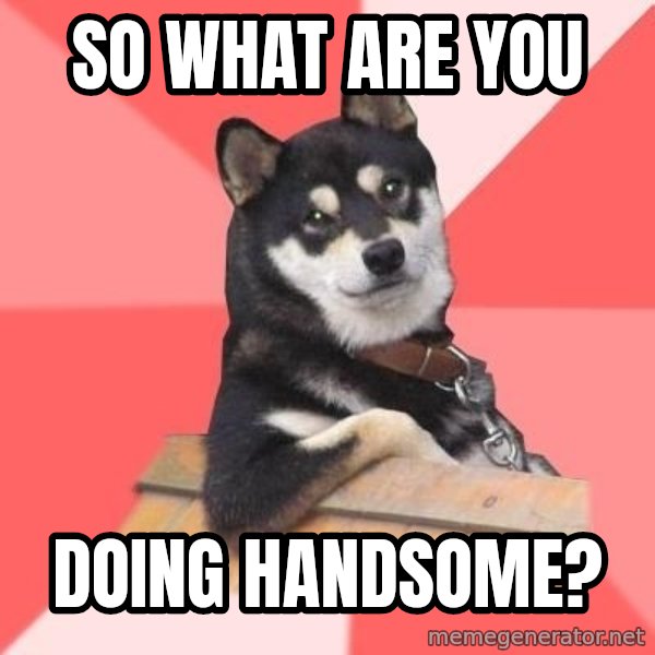 Cool Dog meme: So what are you / doing Handsome?
