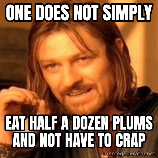 One Does Not Simply meme: One does not simply / Eat half a dozen plums and not have to crap